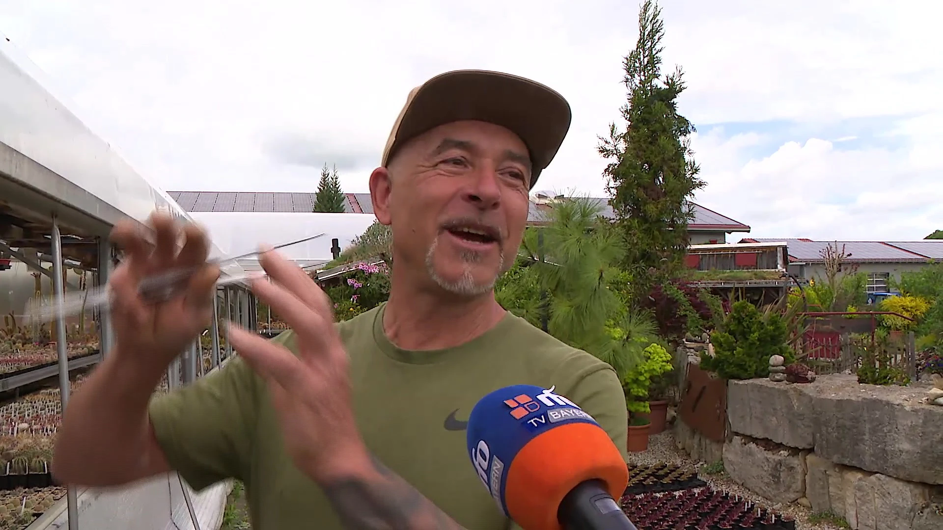 kaktus handtasche Tote Leder Kaktus - Klein